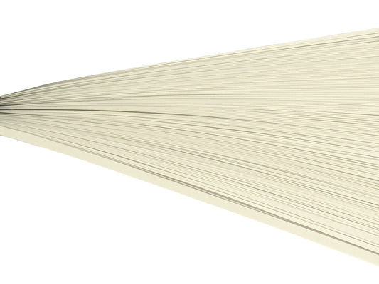 Cream colored paper quilling strips on their side against a white background.