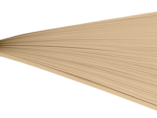 Light brown paper quilling strips on their side against a white background.