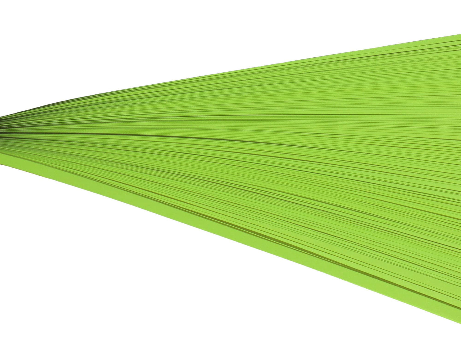 Green Paper and Cardstock
